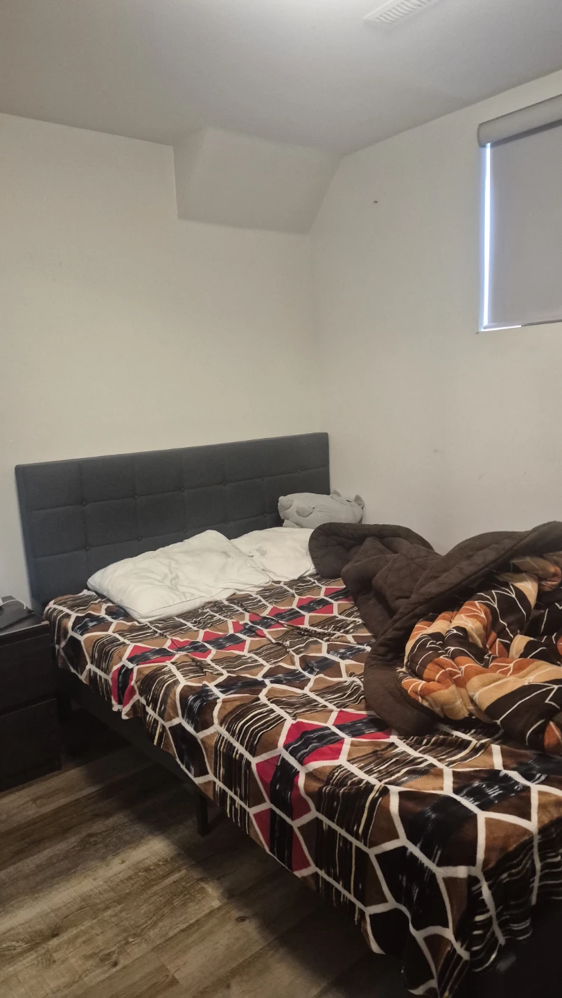 A room on the rent