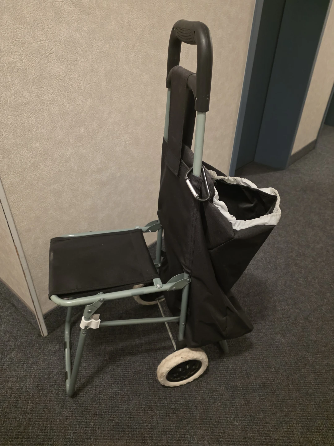 Shopping Cart with Built-in Seat - photo 2