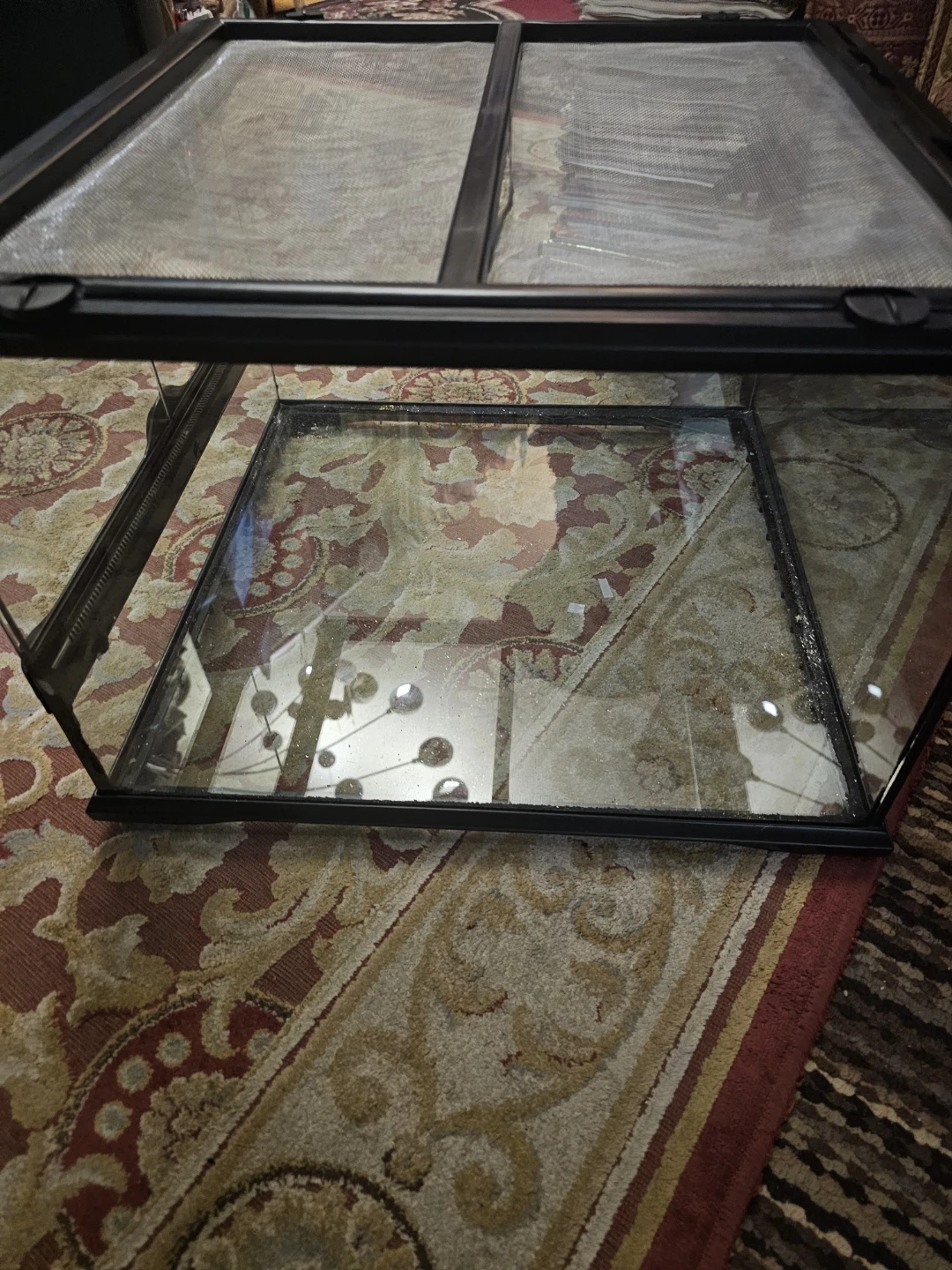 Exo Terra 18" Terrarium Glass Tank - photo 4