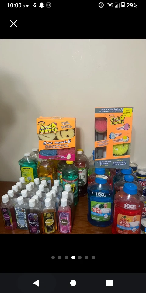 Fabulosa Multi-Purpose Cleaner Lot - photo 4