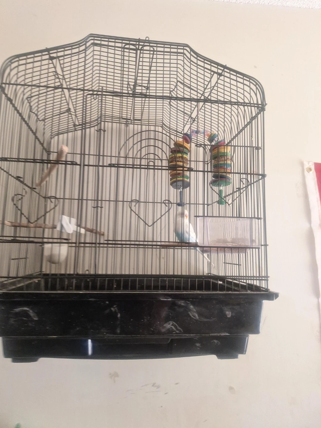 Bird Cage with Accessories
