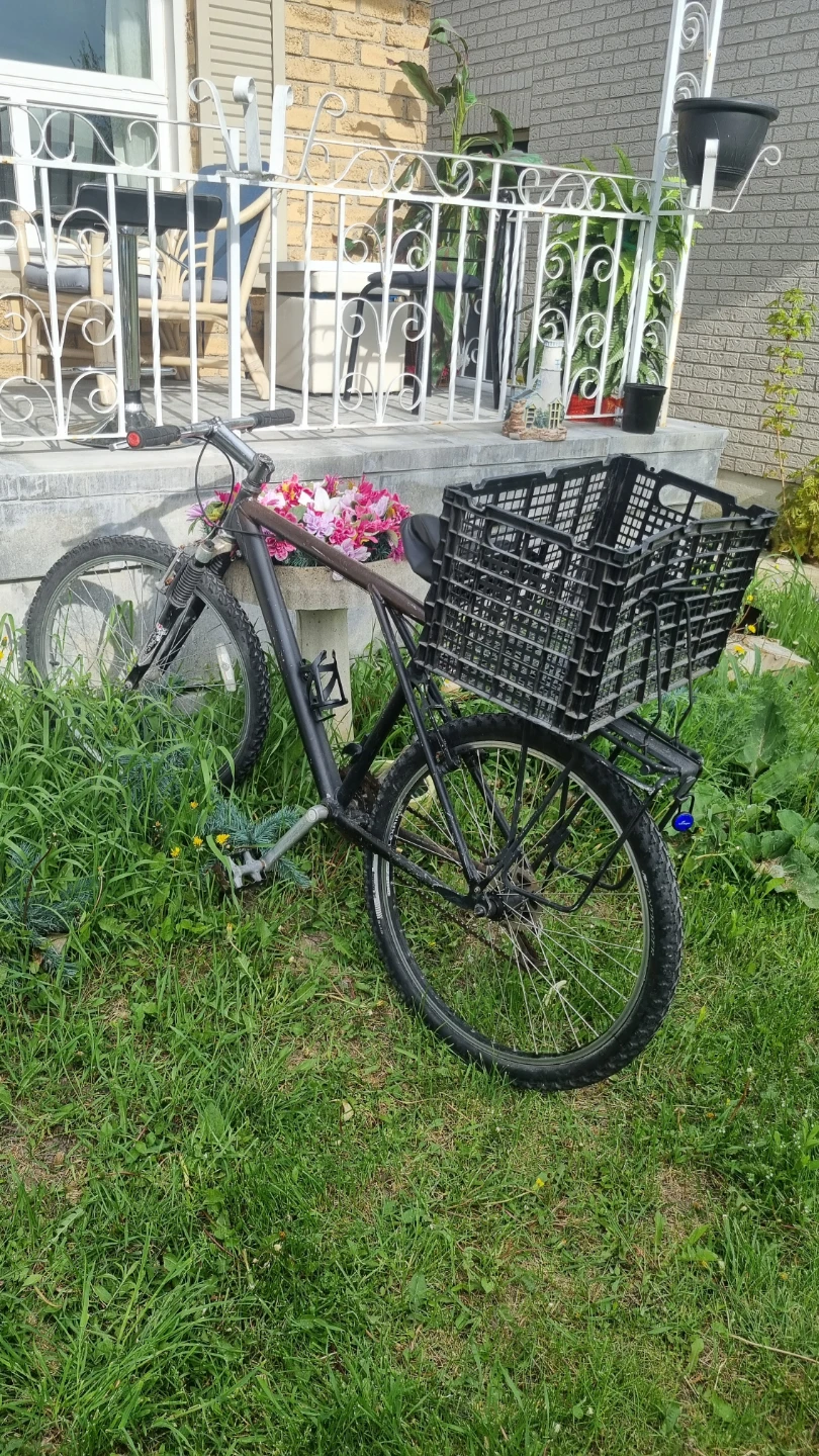 Mountain Bike with Basket - photo 2