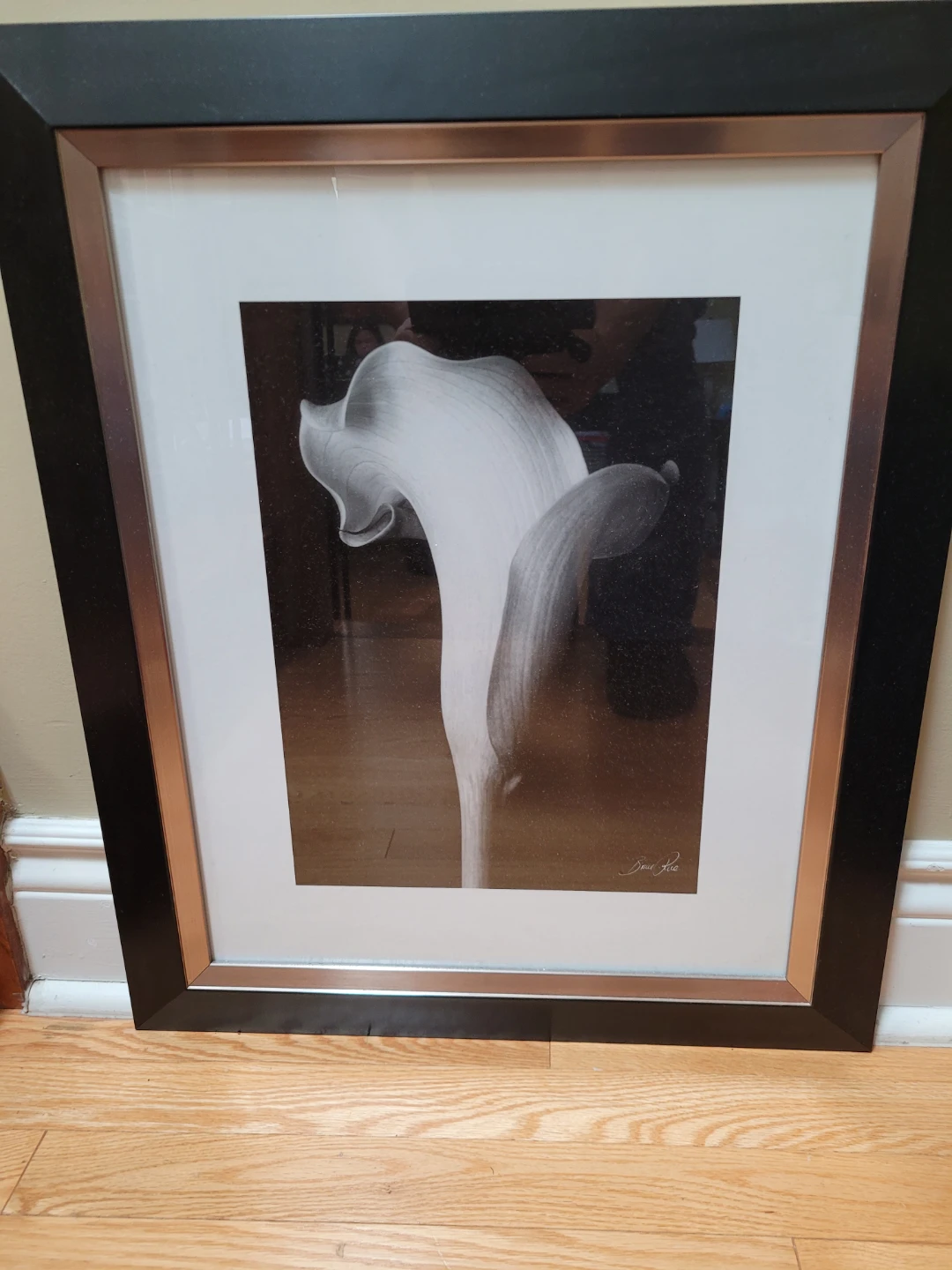 Framed Call a Lily Art Print
