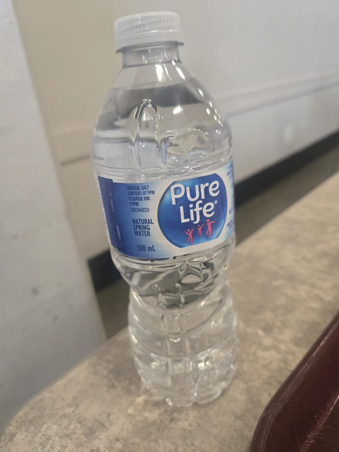 Pure Life Natural Spring Water 500 mL