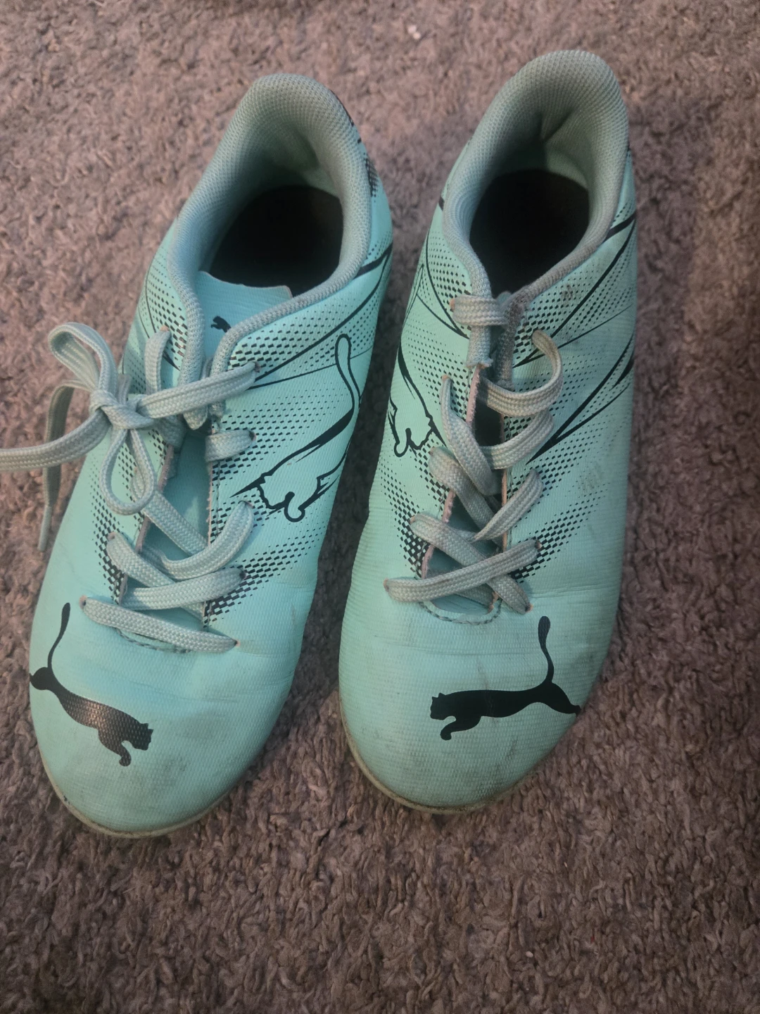 Puma Teal Soccer Cleats