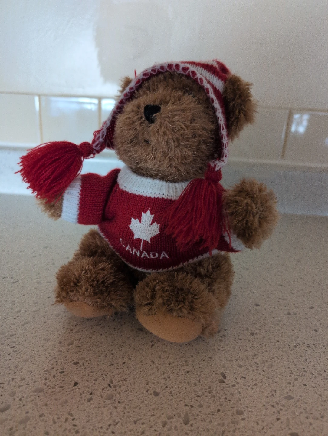 Canadian Teddy Bear Plush - photo 4