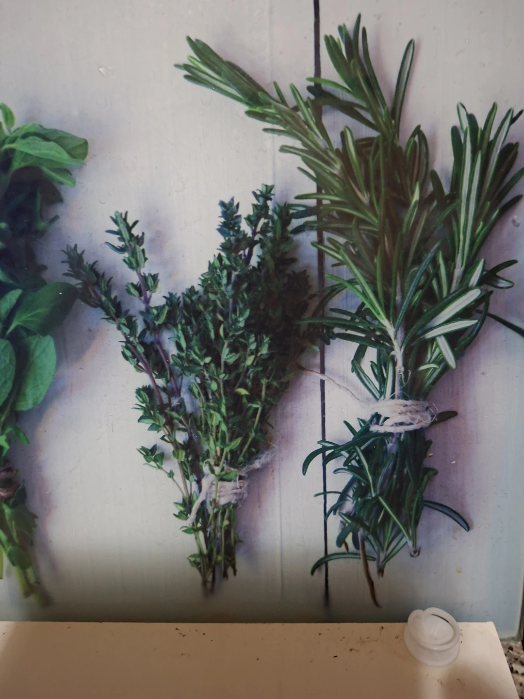 Decorative Cutting Board with Herbs - photo 3