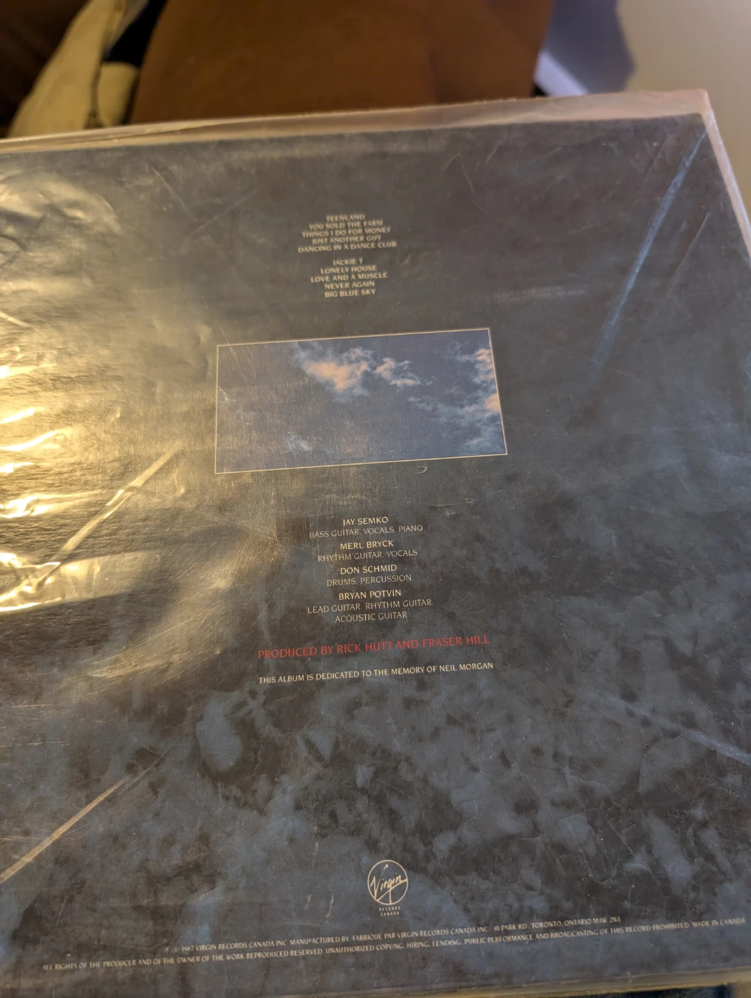 The Northern Pikes - Big Blue Sky Vinyl Record - photo 2