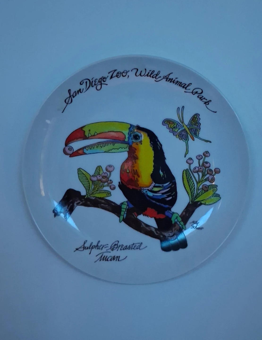San Diego Zoo Sulphur-Breasted Toucan Decorative Plate