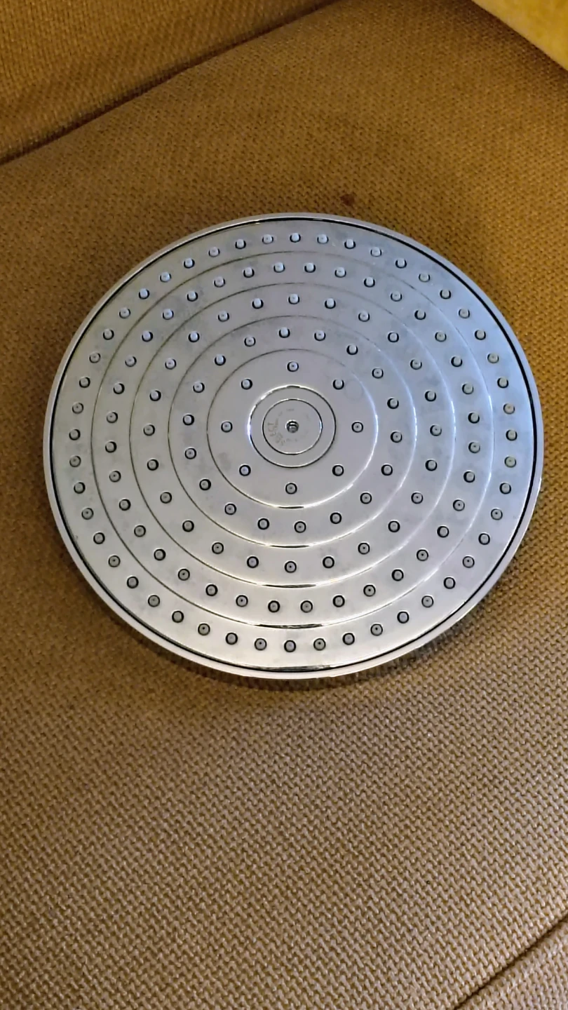 Hansgrohe Rain Shower Head