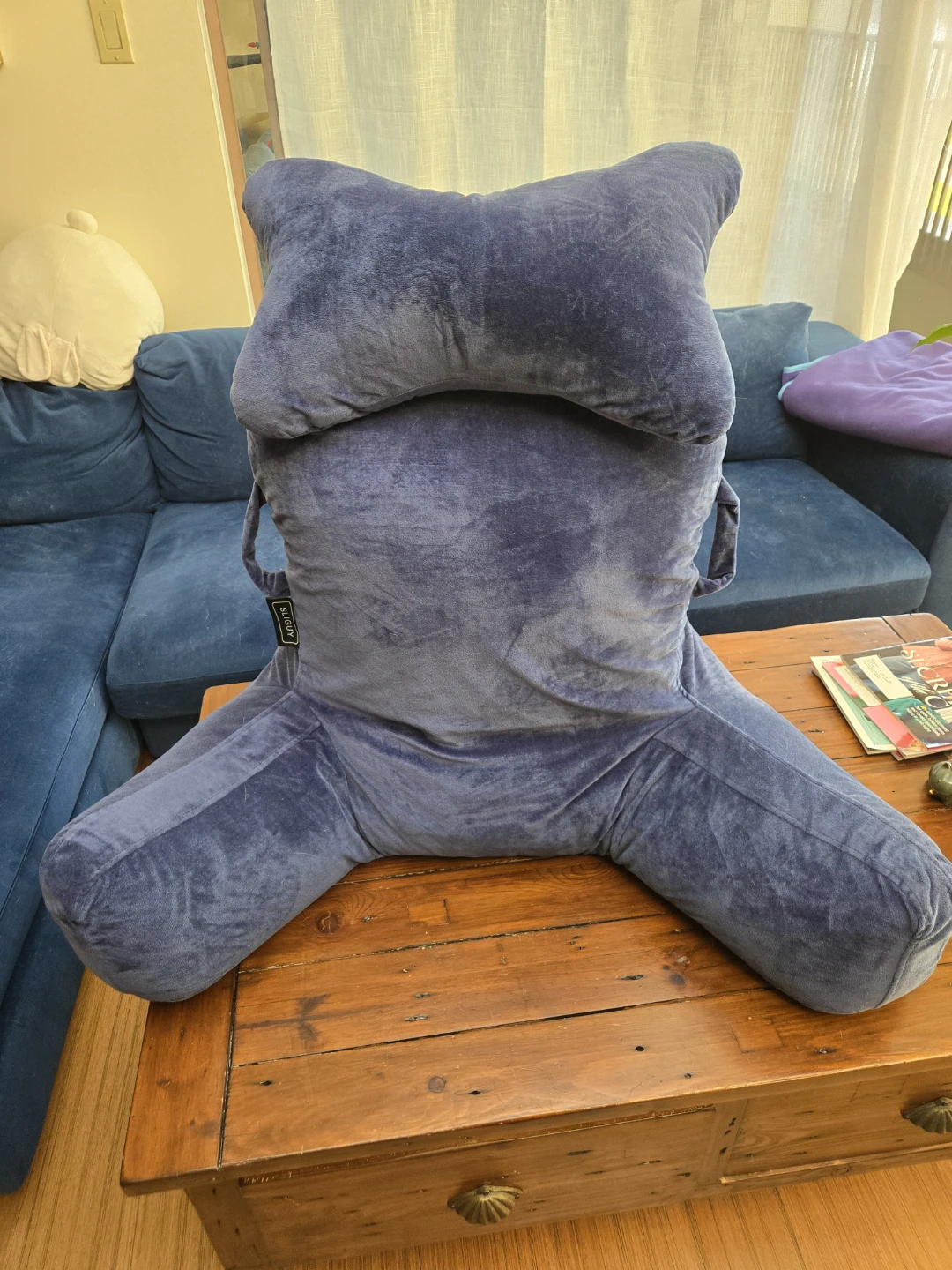 SLIGUY Large Blue Backrest Bedrest and Reading Pillow