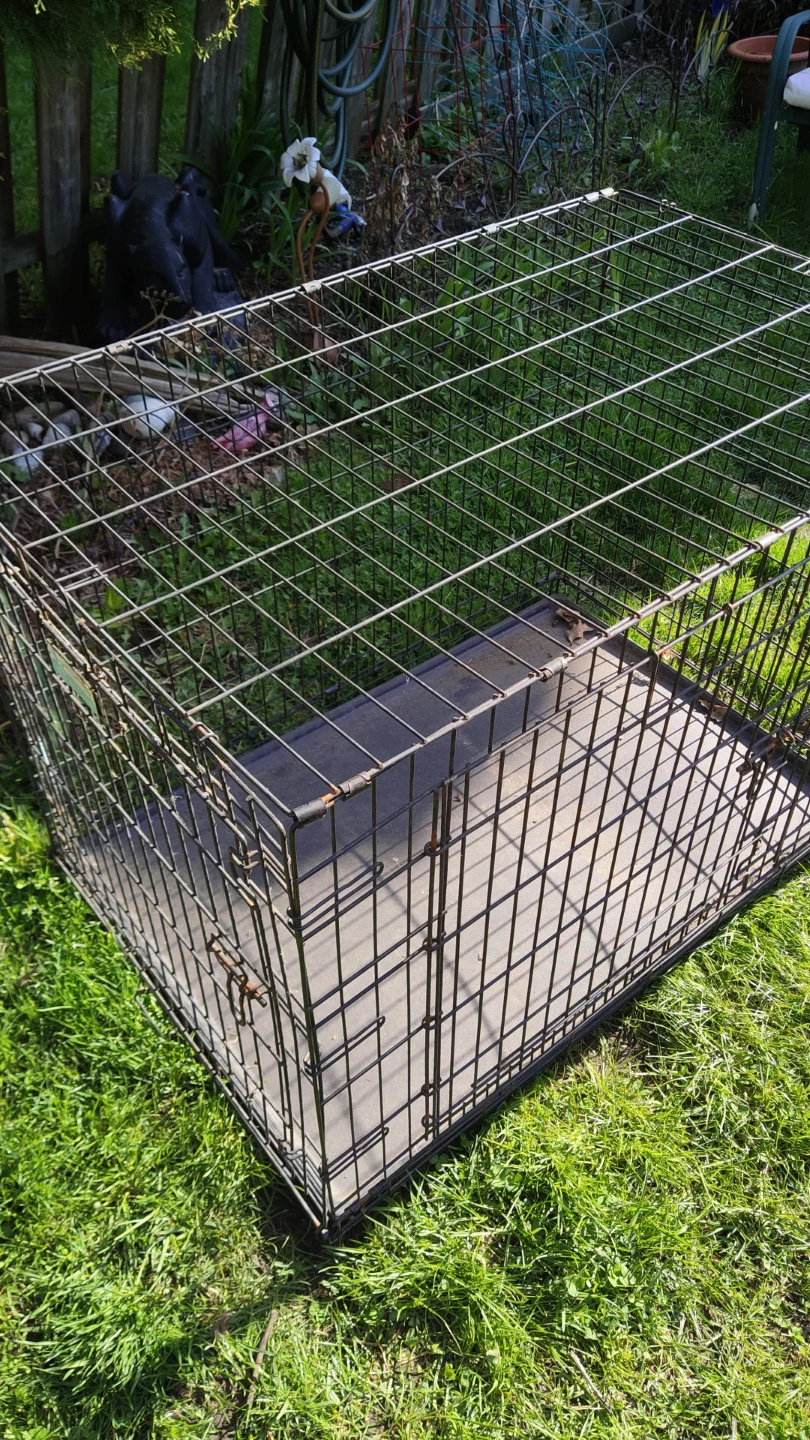 Wire Dog Crate with Tray extra large - photo 2