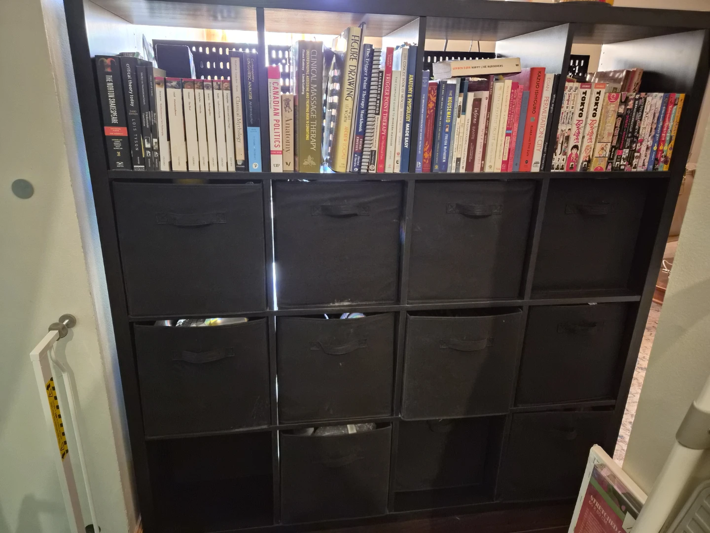 Ikea kallax shelf