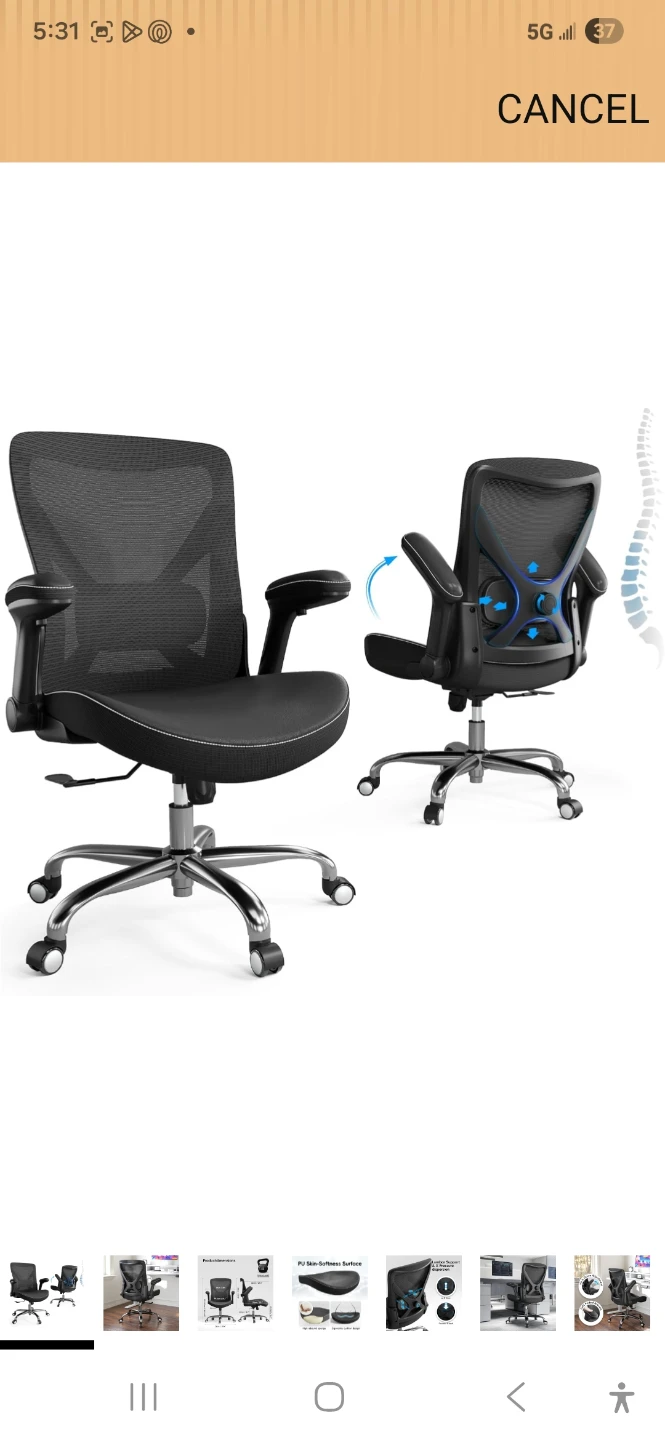 Mesh Office Chair with Lumbar Support