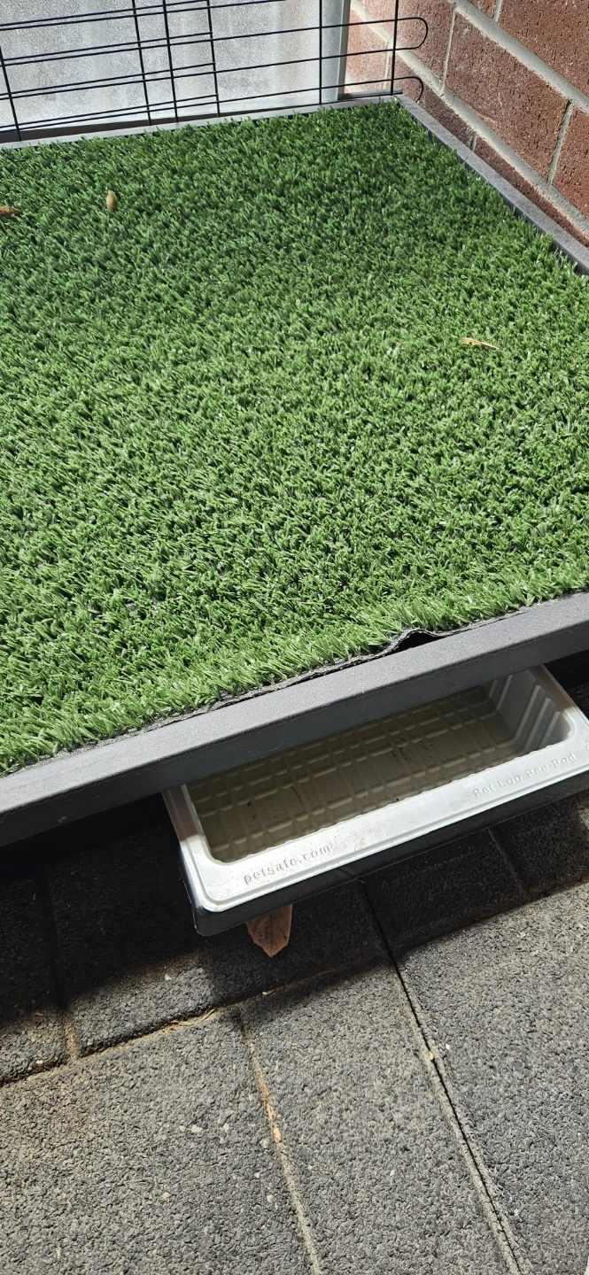 Petsafe ped loo large, ideal for balcony and patios - photo 2