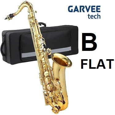 Garvee AS200 B Flat Tenor Saxophone – Complete