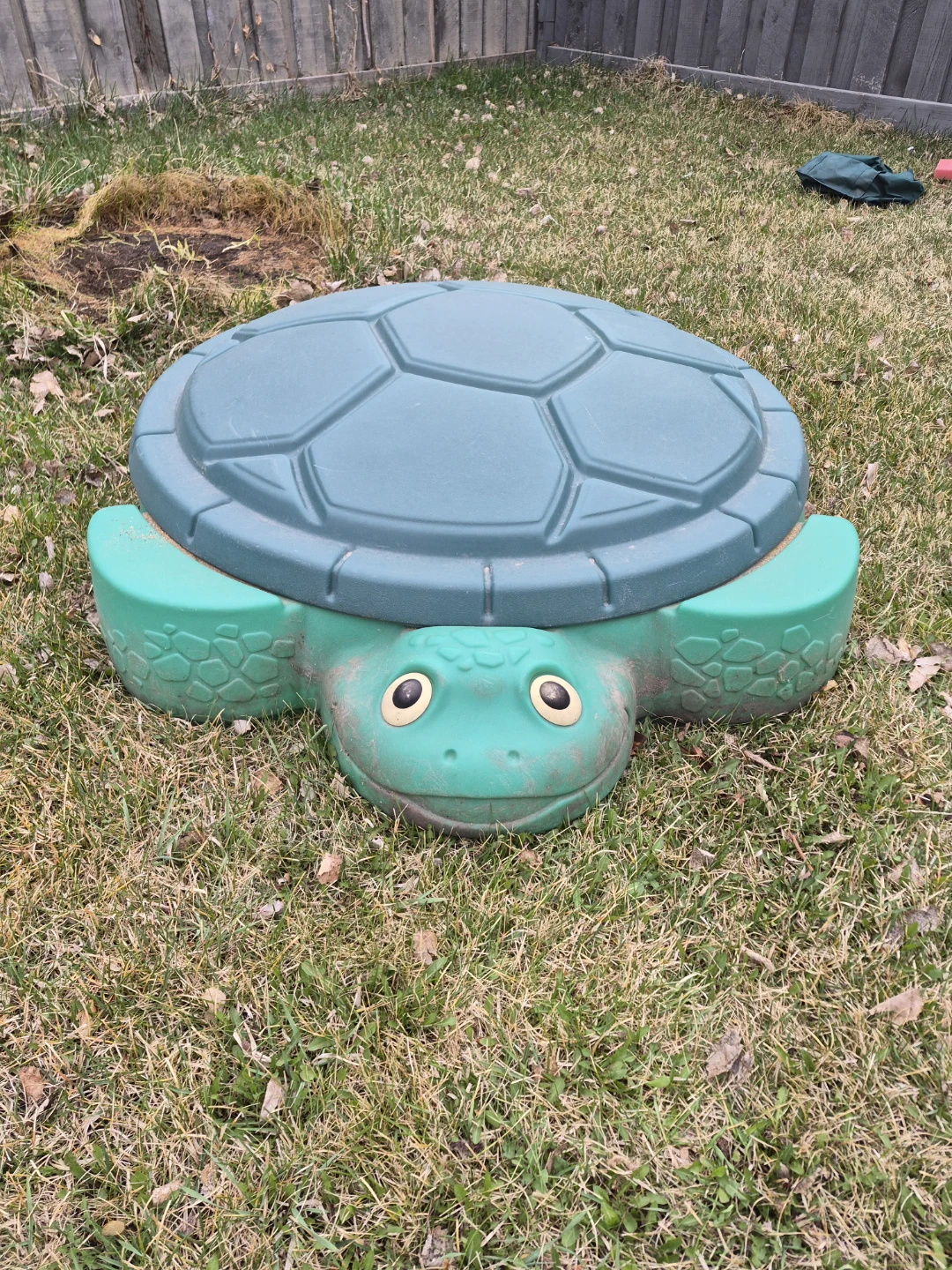Turtle Sandbox