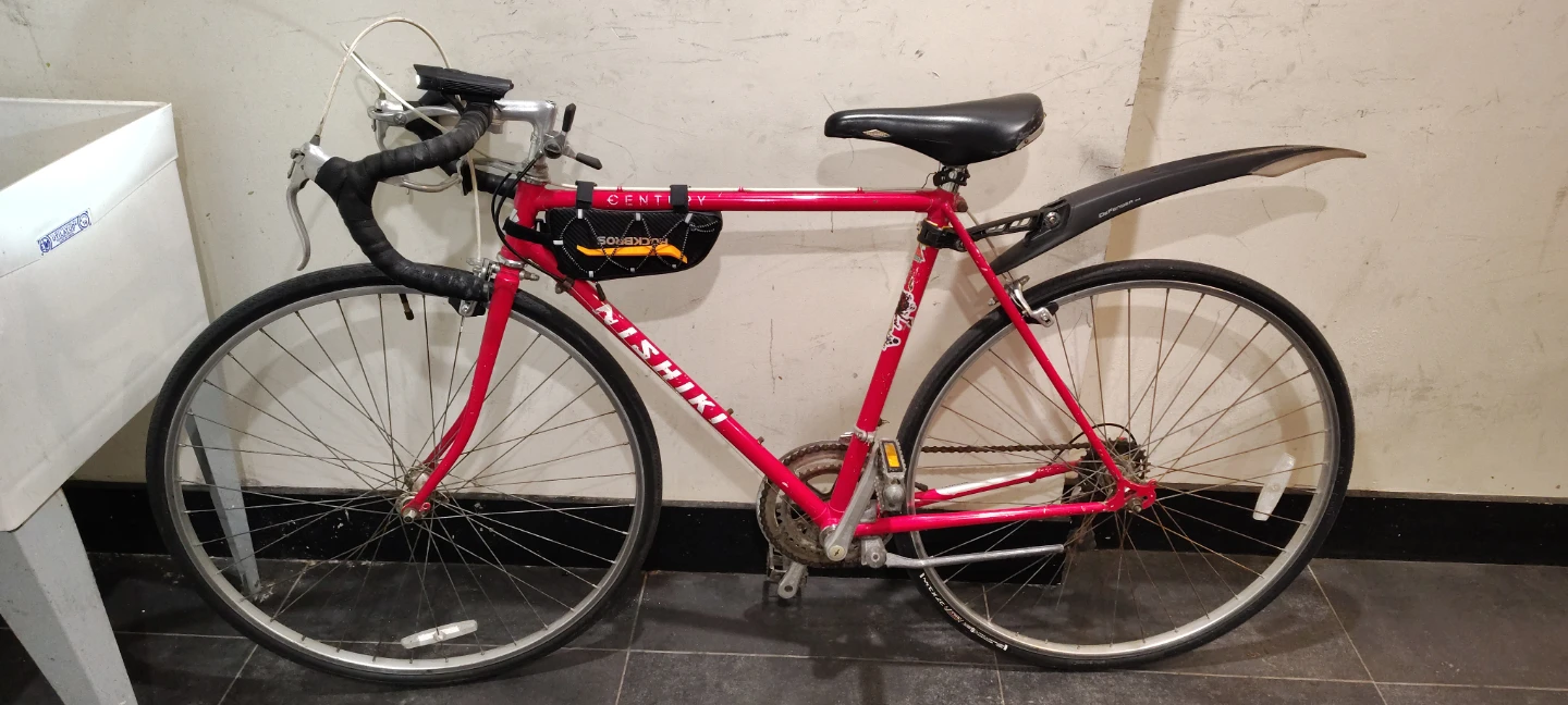 Nishiki Road Bike - photo 3