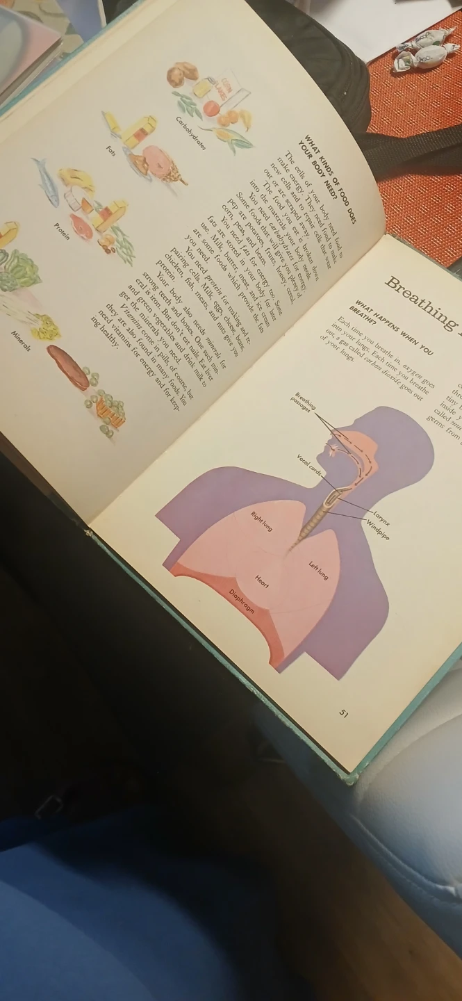 Book About The Human Body - photo 2