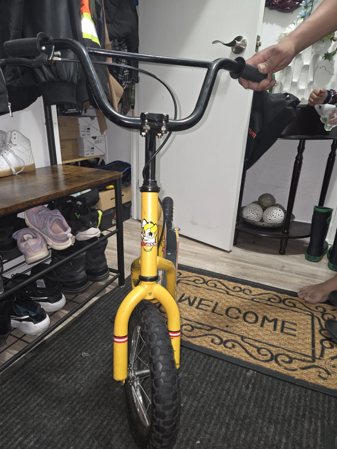 Cool kid scooter