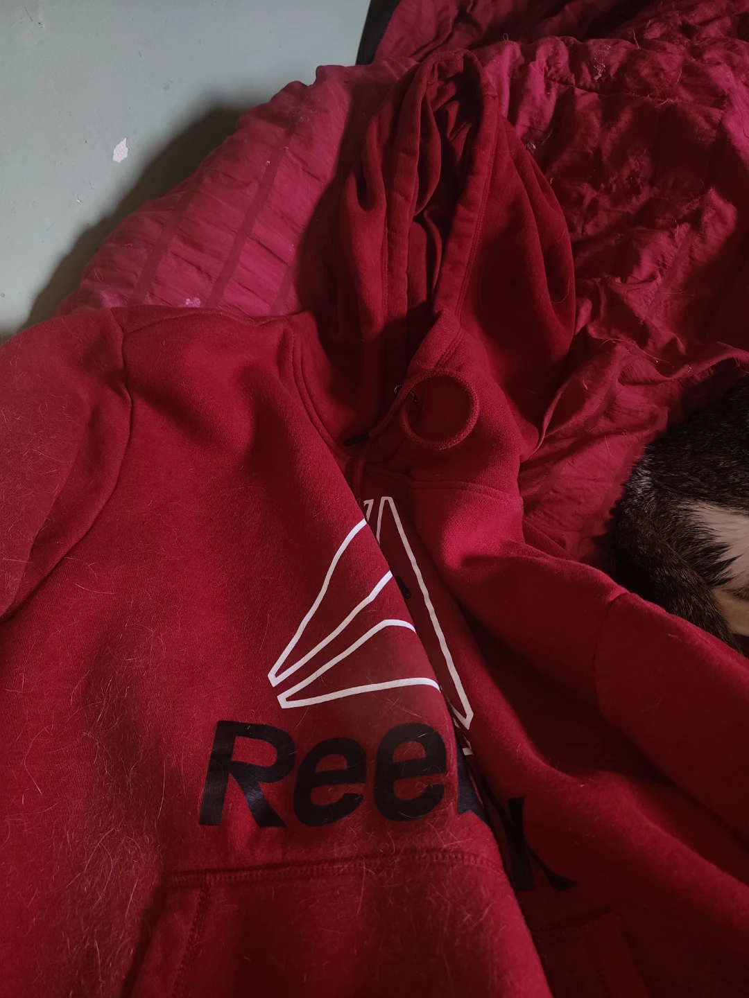 Reebok Hoodie