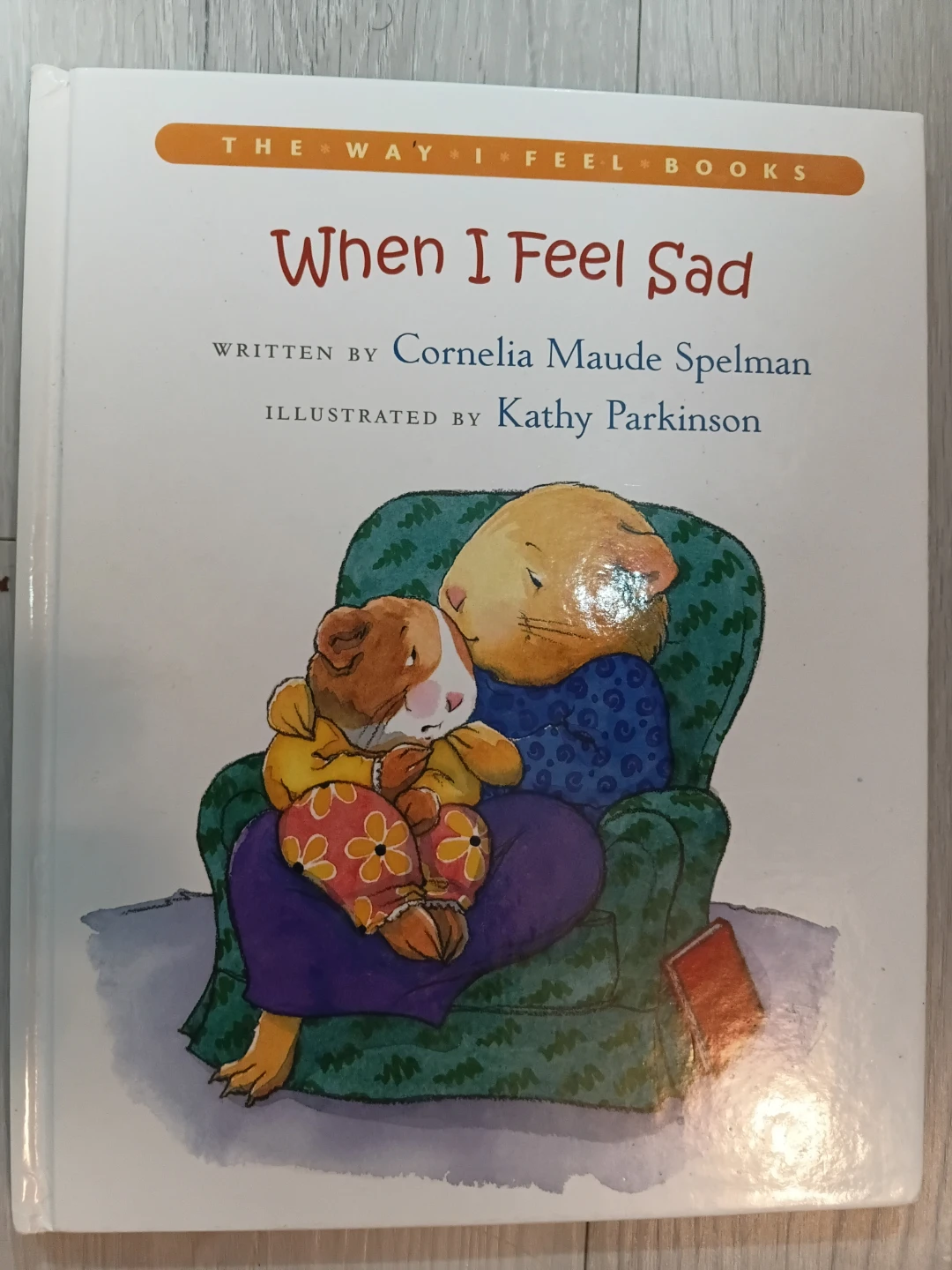 The Way I Feel Kids Emotions Book Set - photo 3