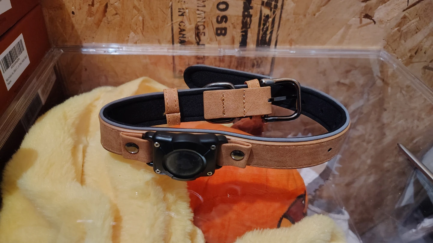 Tan and Black Pet Collar with Buckle - Size M