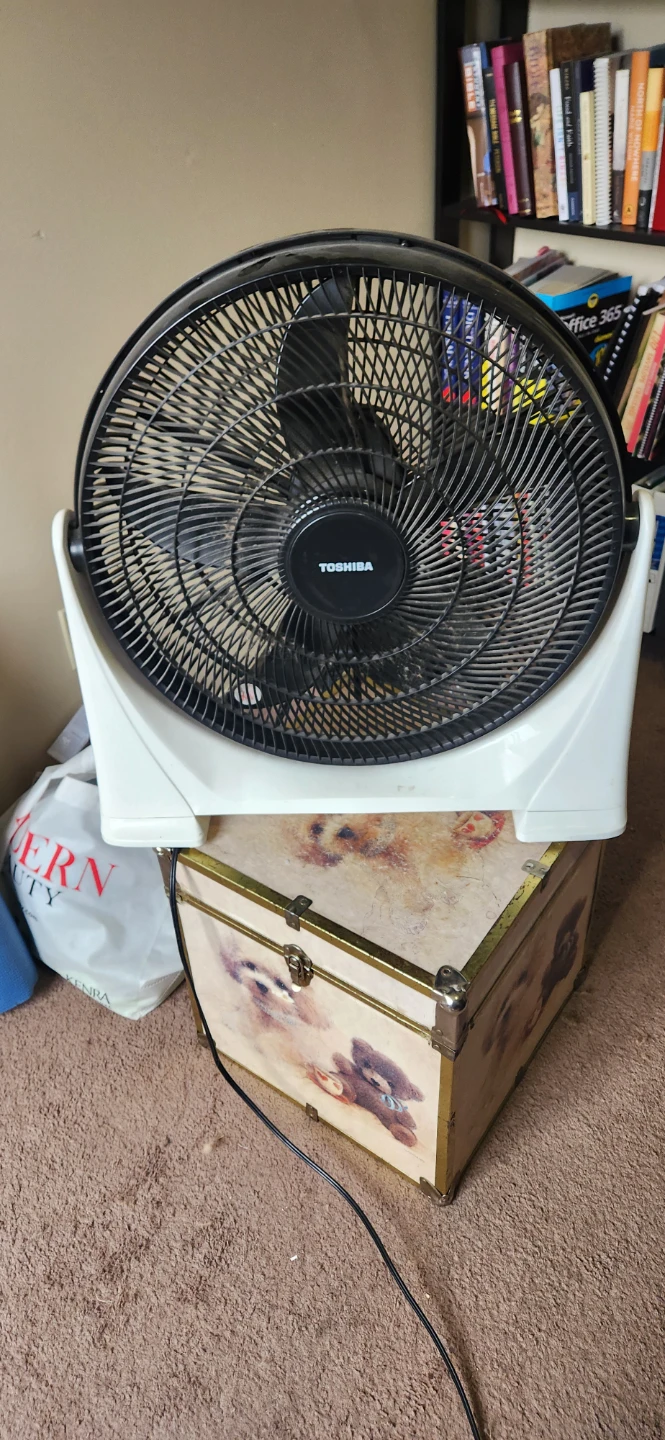 Toshiba Box Fan