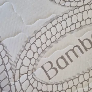 Famous Queen High Density Bamboo Mattress with Mattress cover