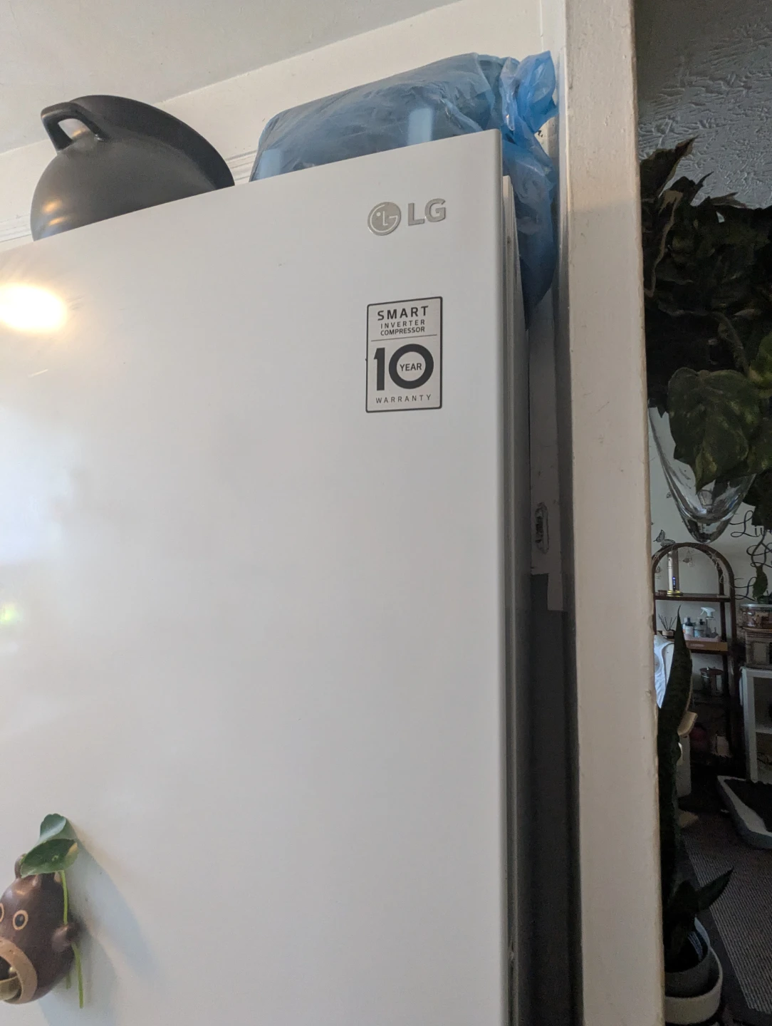 LG Refrigerator bottom freezer
