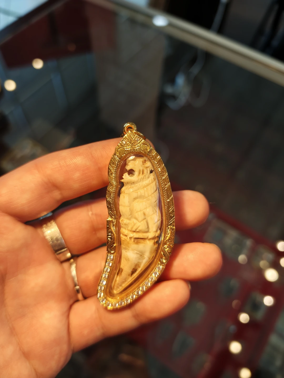 Carved Bear Tooth Pendant with Gold-Plated Frame
