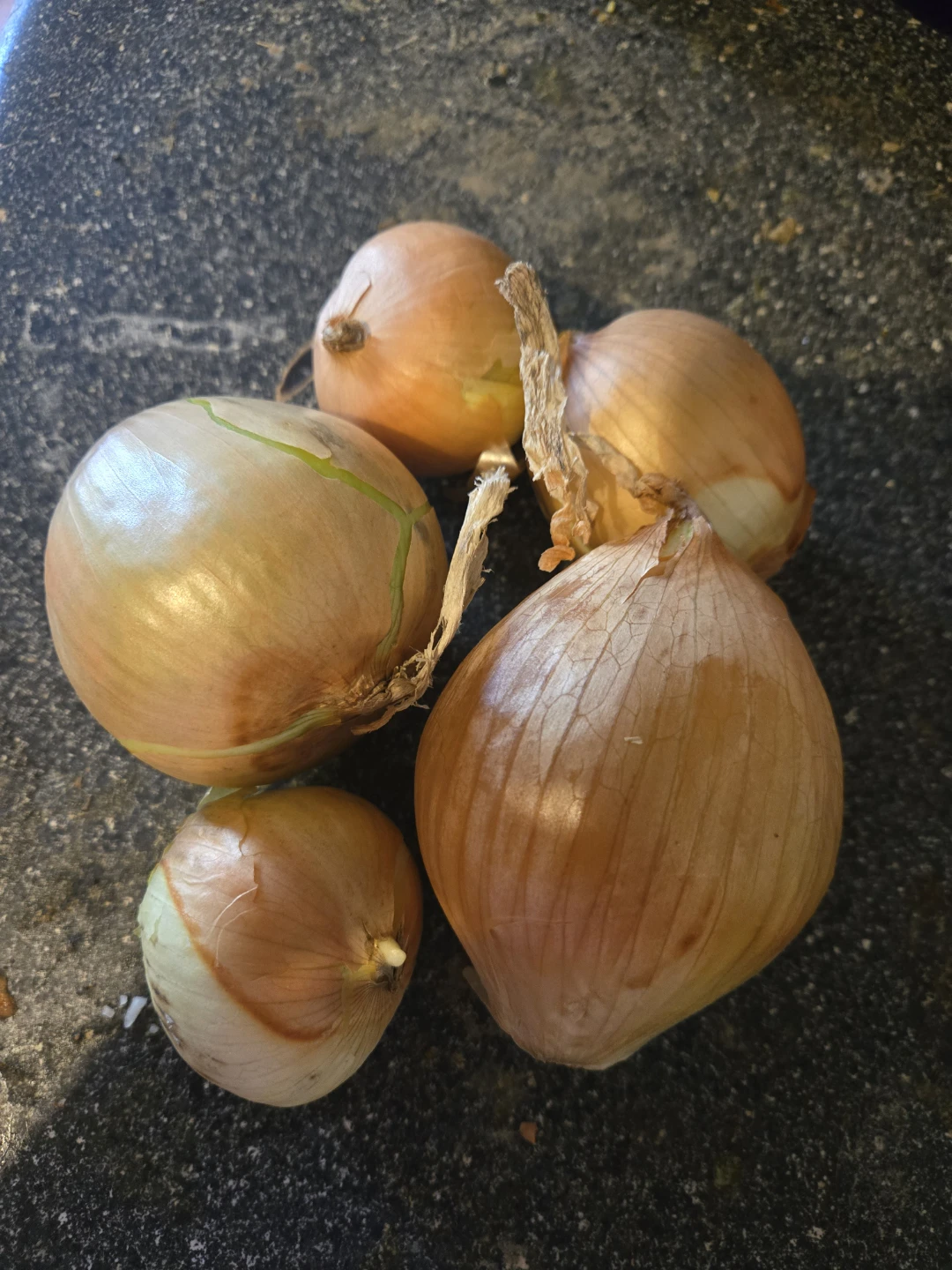 Five  yellow onions