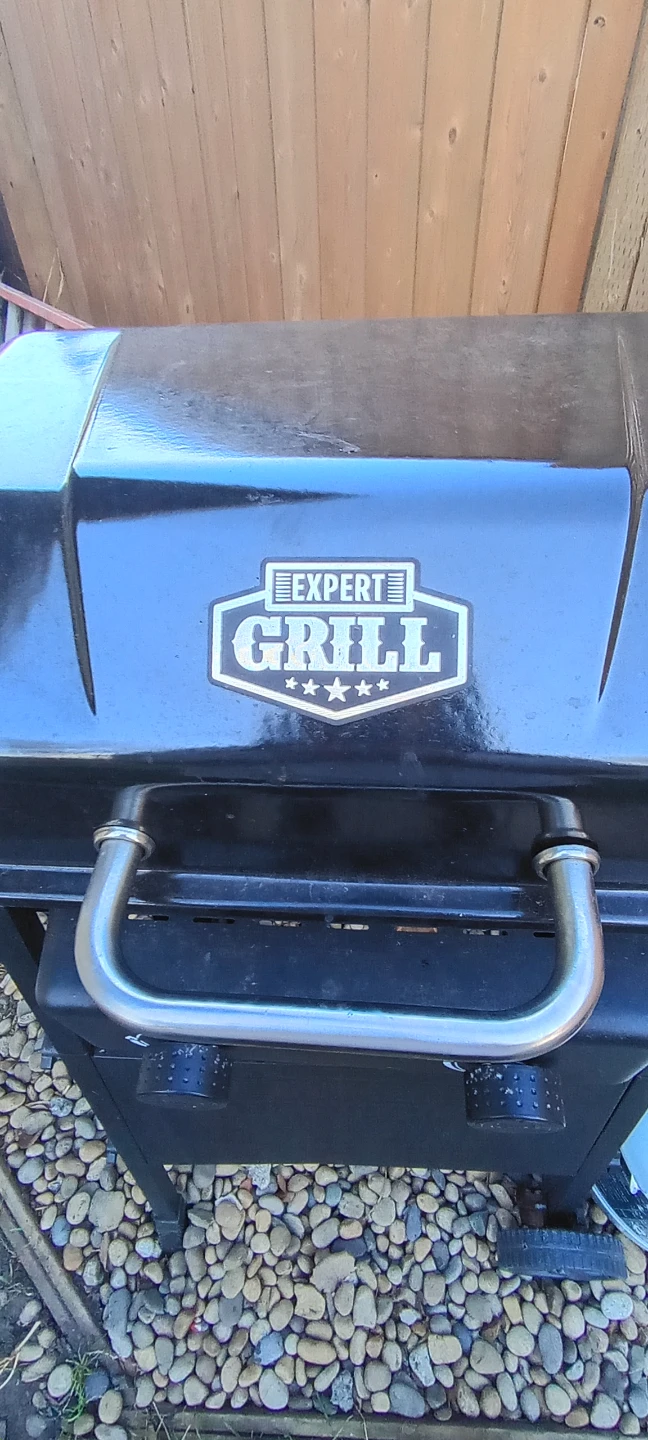 Expert Grill Propane BBQ