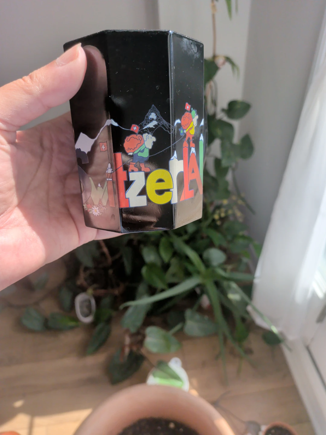 Switzerland Souvenir Octagonal Tumbler