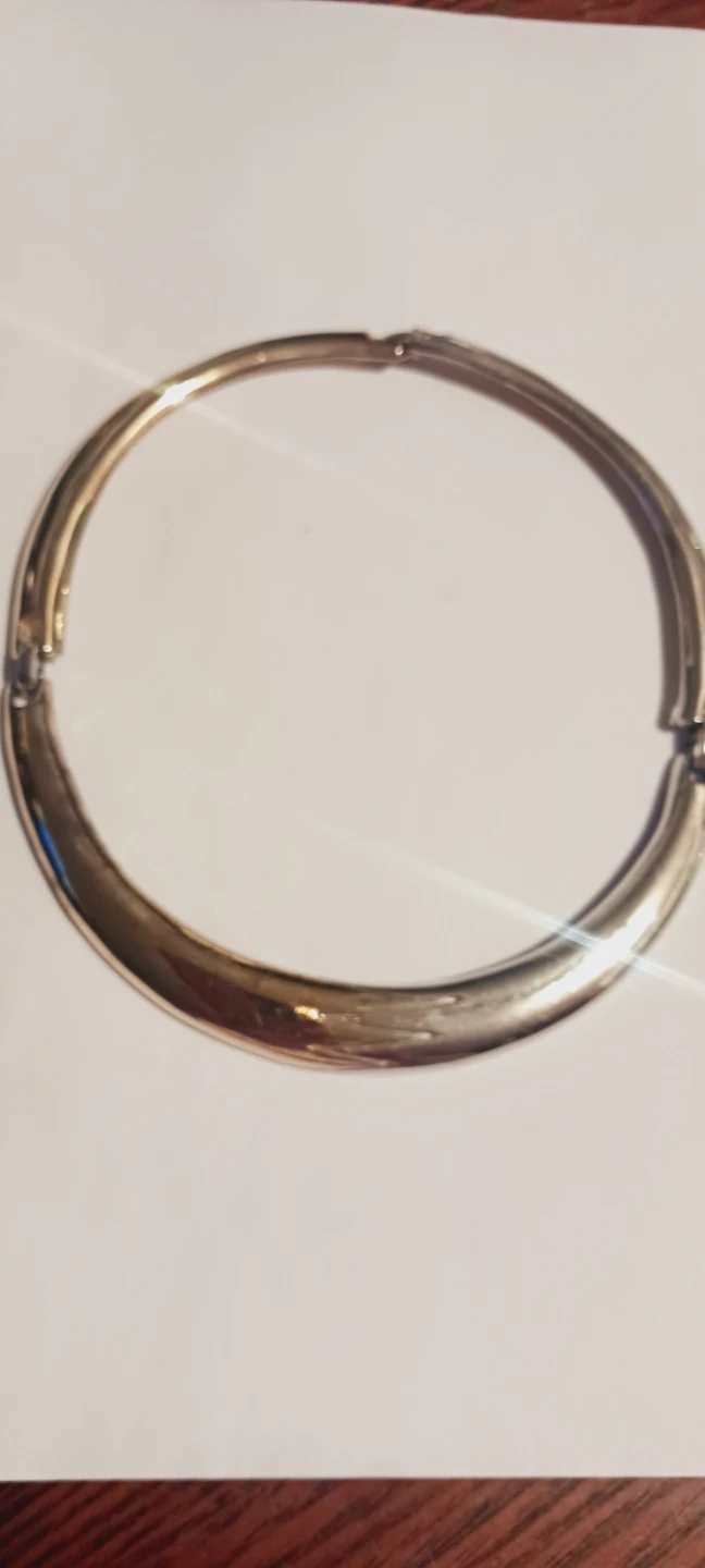 Simple Elegant Statement Collar Necklace - photo 5