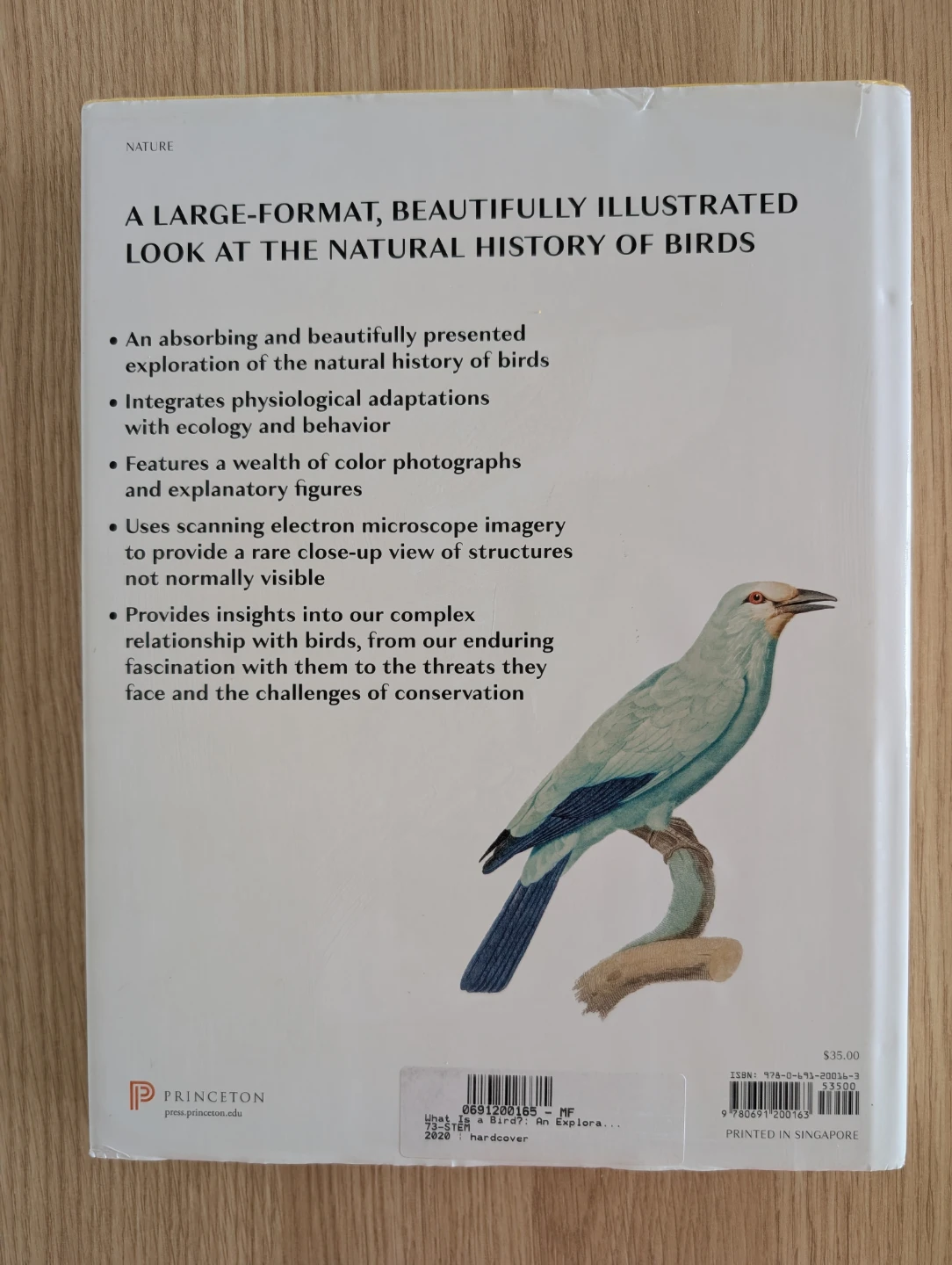 What Is a Bird? Anatomy, Physiology, Behavior, and Ecology book - photo 2