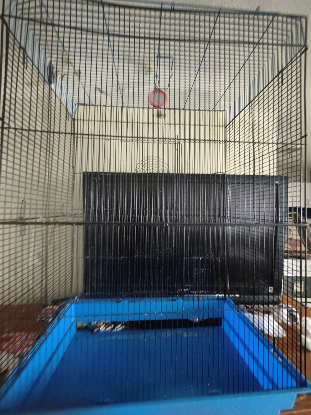 Large Bird Cage with Blue Tray - photo 2