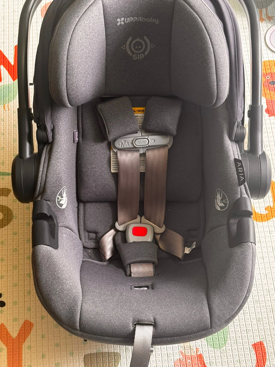 UPPAbaby Aria Infant Car Seat with Base - $300 OBO