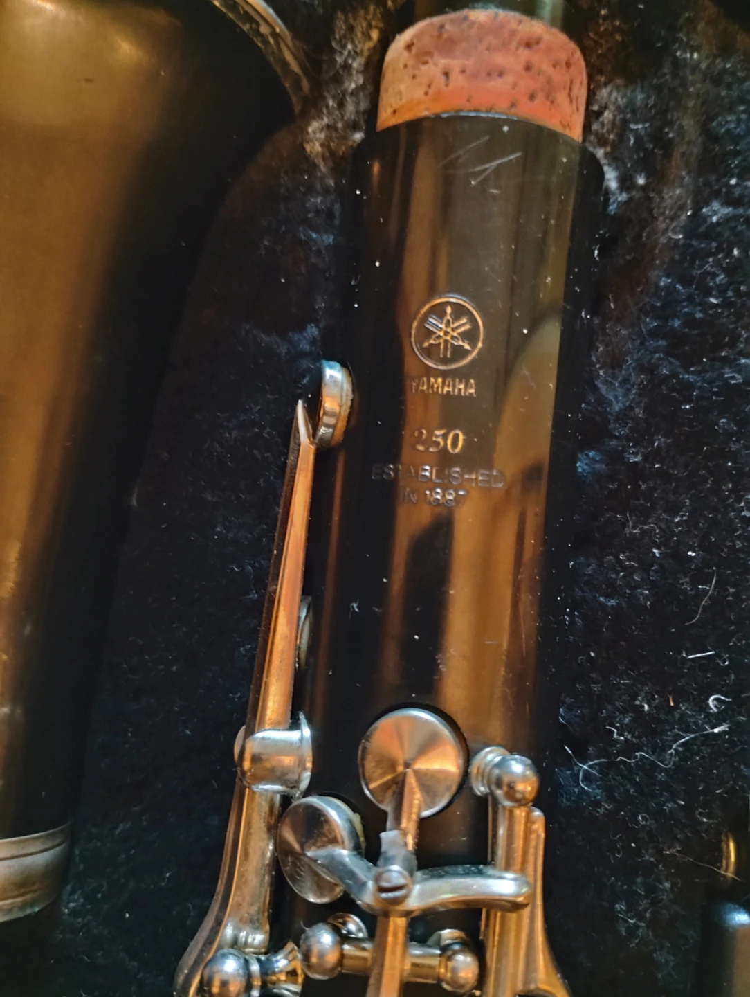 Musical instruments - photo 2