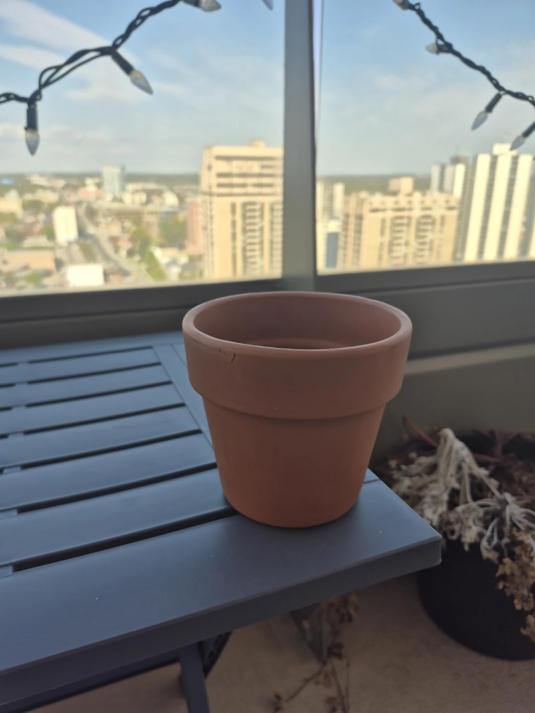 Terracotta Plant Pot