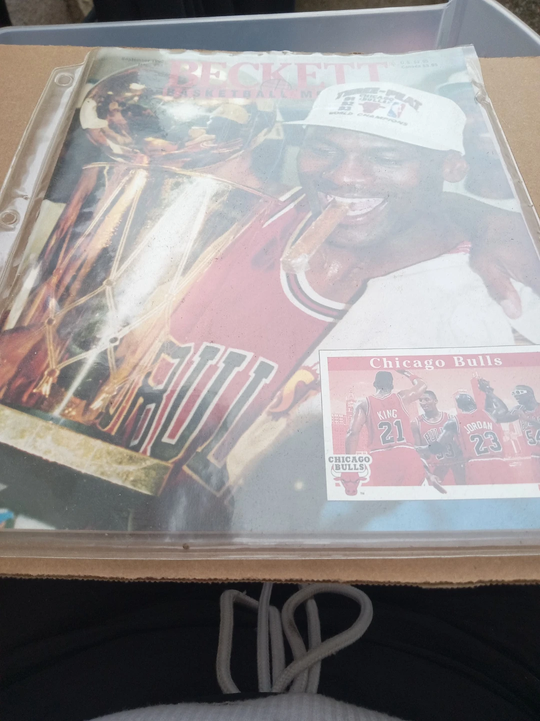 Chicago Bulls NBA Hoops Card