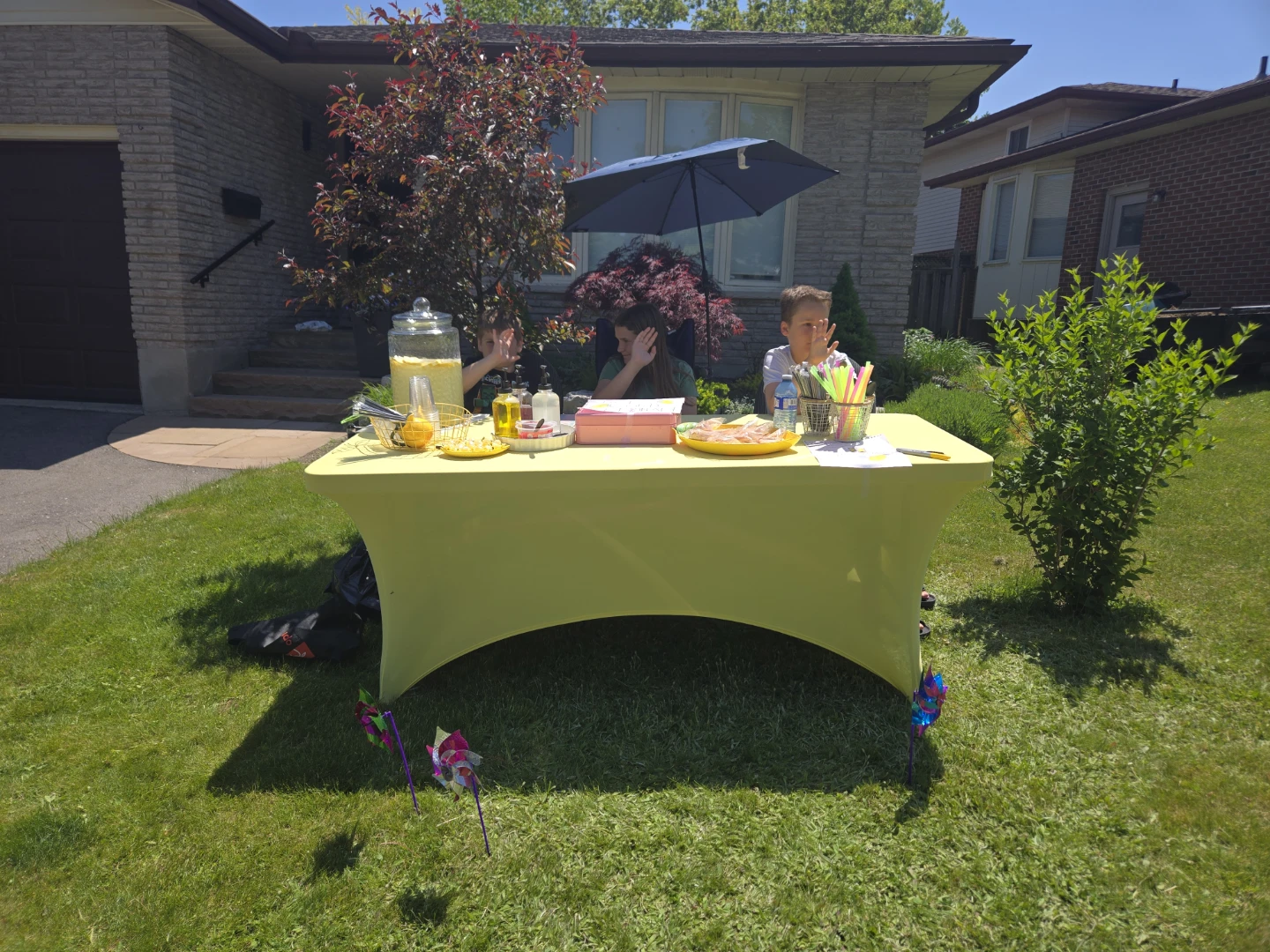 Lemonade and treats stand