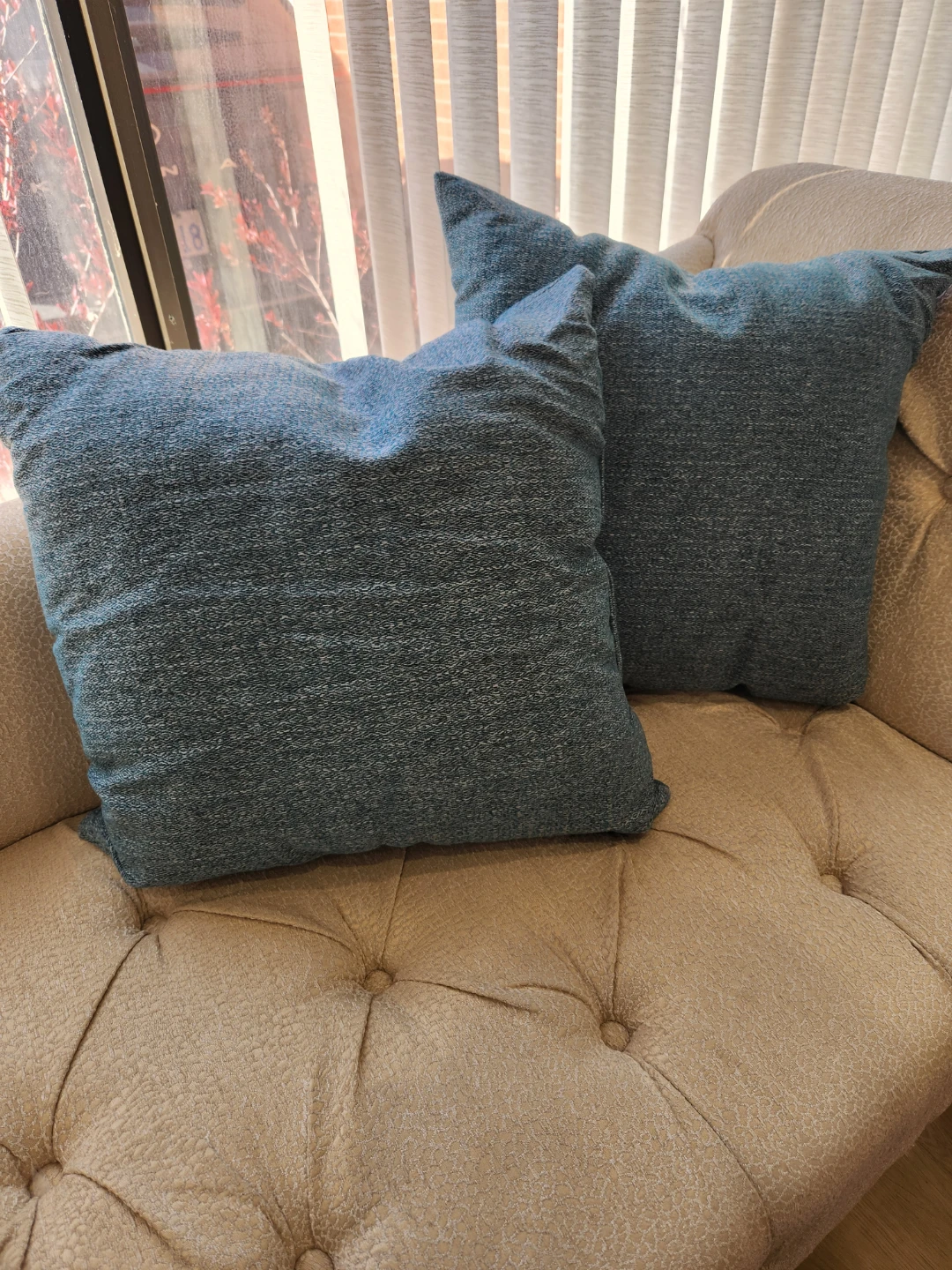 Two Blue Decorative Throw Pillows