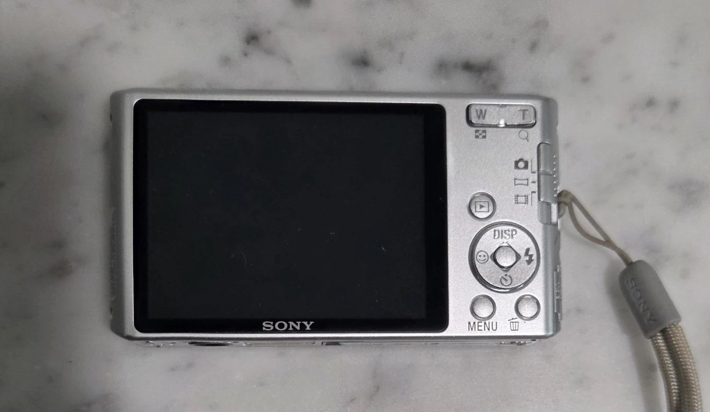 Sony Cyber-shot DSC-W610 Digital Camera with Case - photo 2