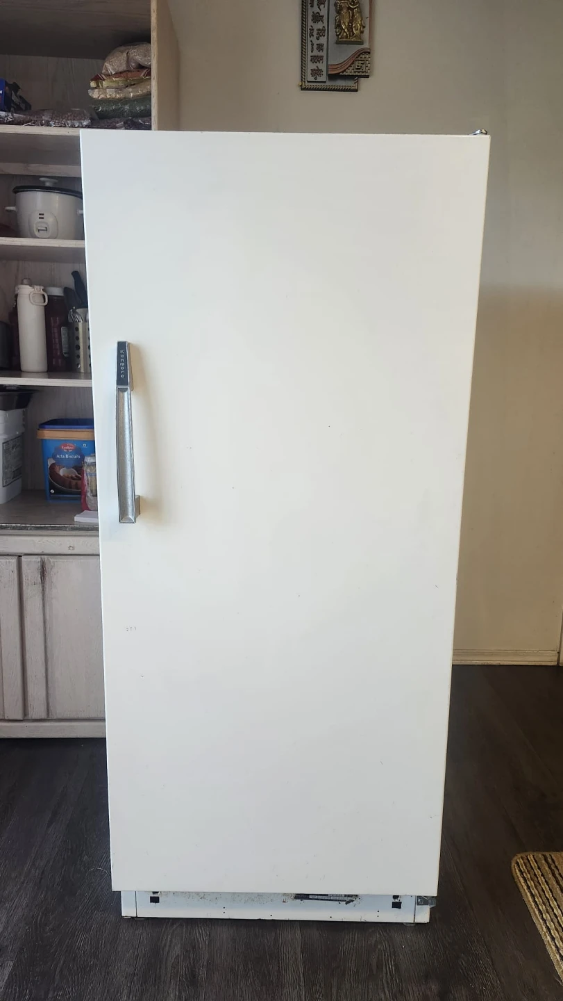 White Upright Fridge