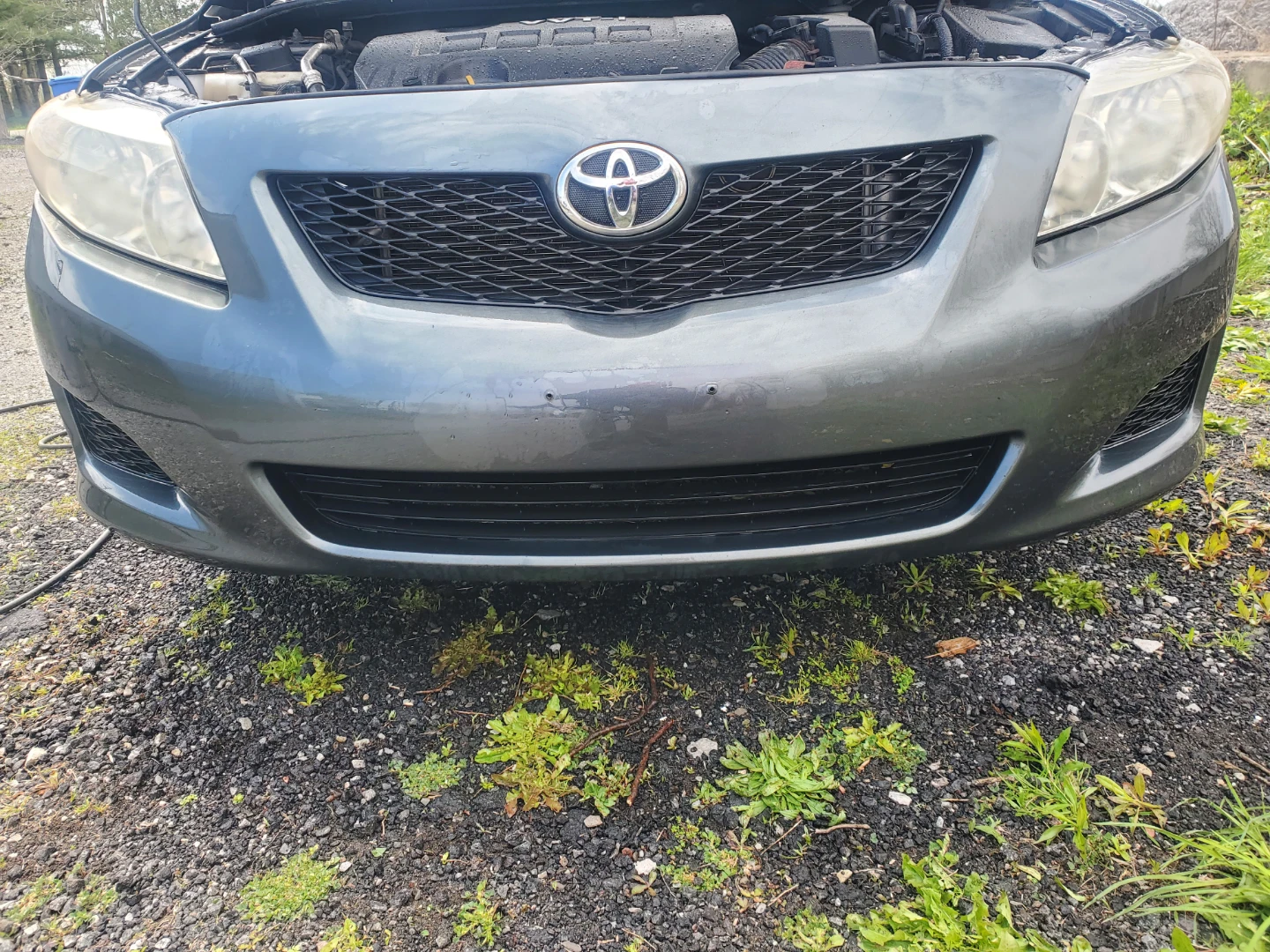 2009 Toyota Corolla sport - photo 4