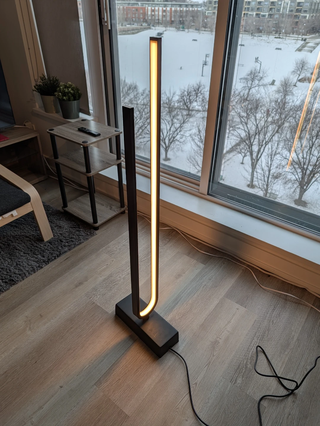 Modern LED Floor Lamp