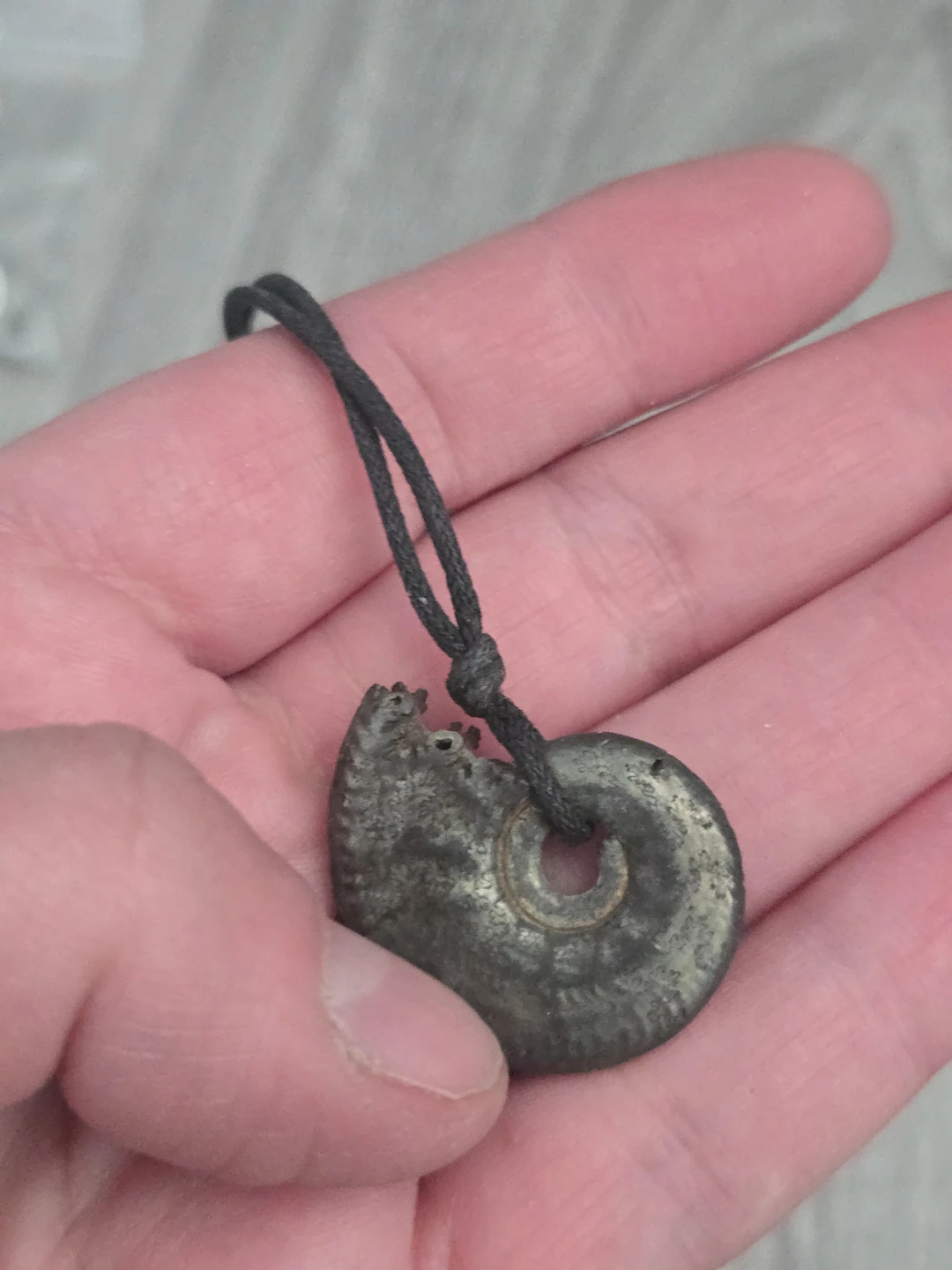 Vintage Ammonite Fossil Pendant Necklace