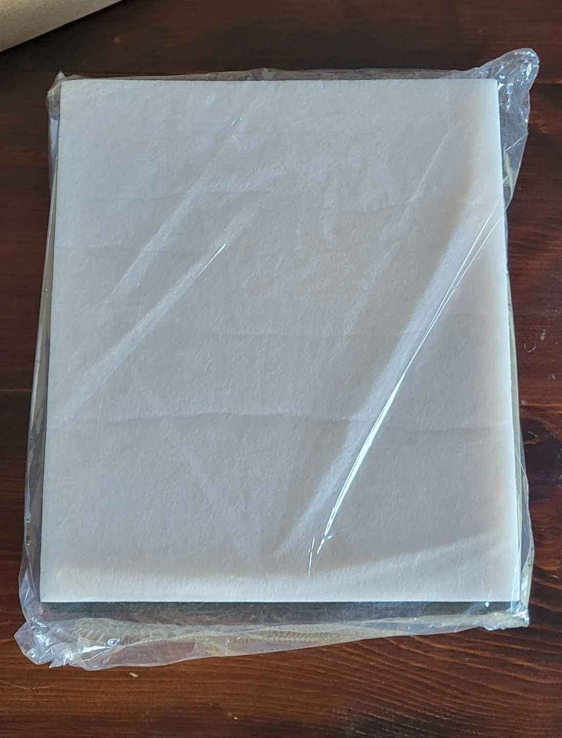 Engine Air Filter CA11895 - photo 3