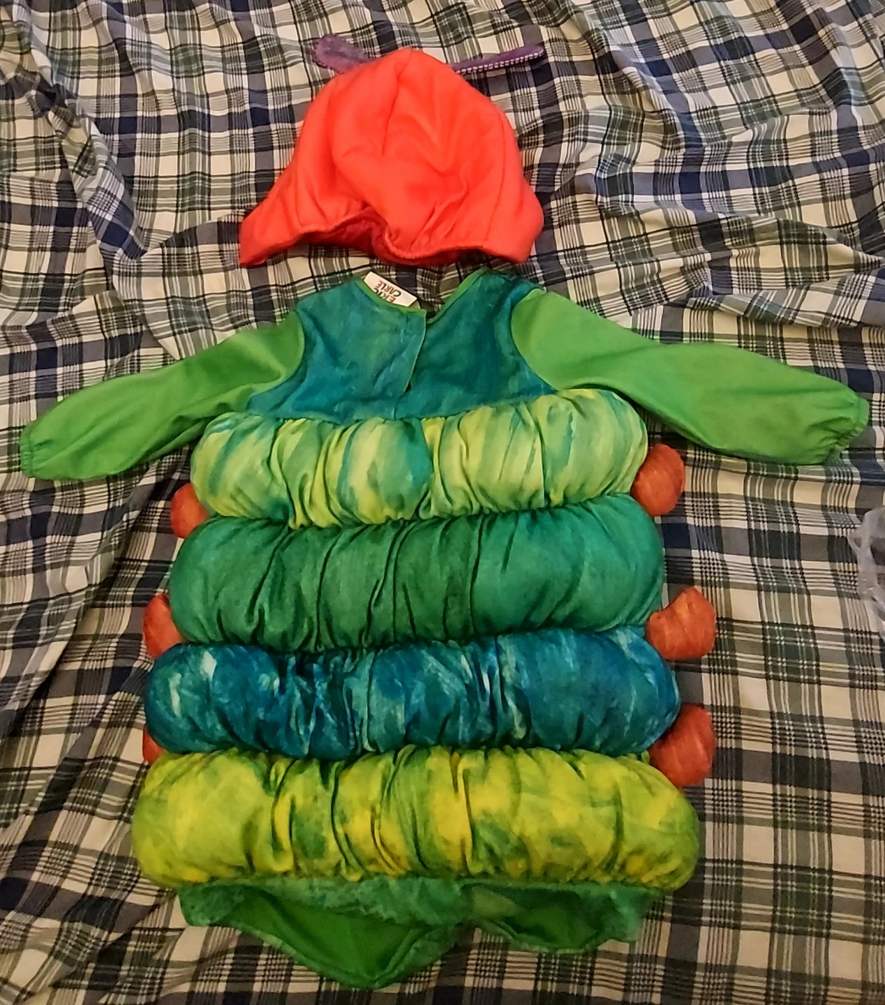 The Very Hungry Caterpillar Costume - photo 3